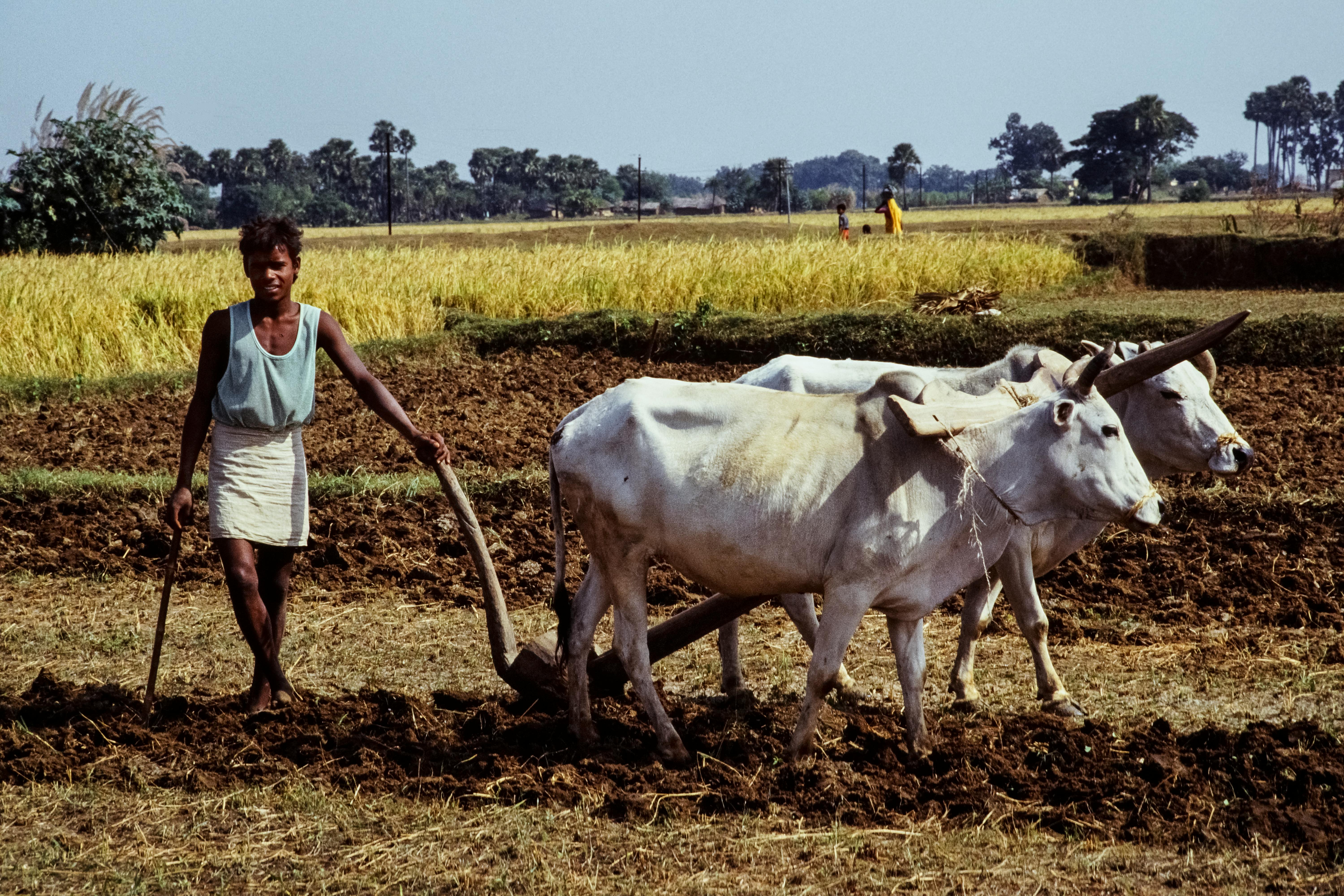 Farming